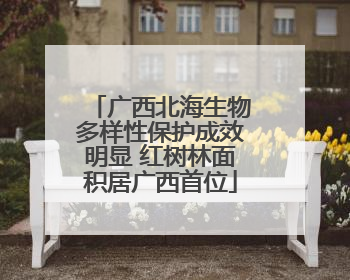 广西北海生物多样性保护成效明显 红树林面积居广西首位
