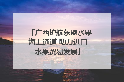 广西护航东盟水果海上通道 助力进口水果贸易发展