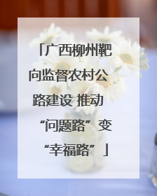 广西柳州靶向监督农村公路建设 推动“问题路”变“幸福路”