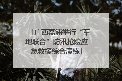 广西荔浦举行“军地联合”防汛抢险应急救援综合演练