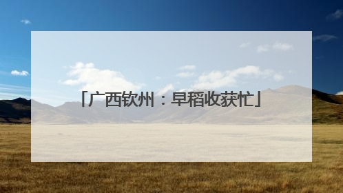 广西钦州：早稻收获忙
