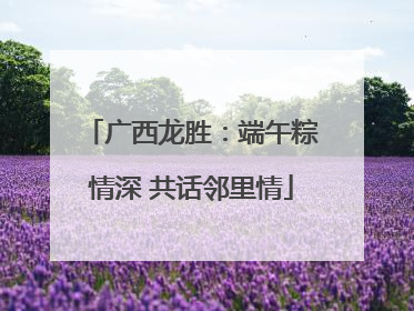 广西龙胜：端午粽情深 共话邻里情