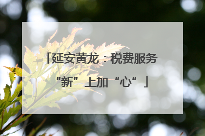 延安黄龙：税费服务“新”上加“心”