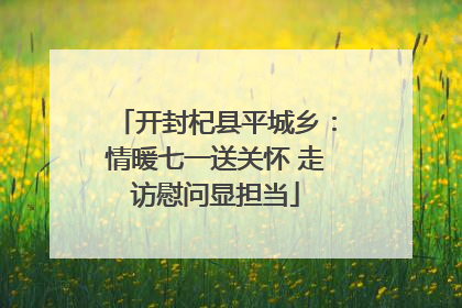 开封杞县平城乡：情暖七一送关怀 走访慰问显担当