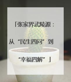 张家界武陵源：从“民生四问”到“幸福四解”