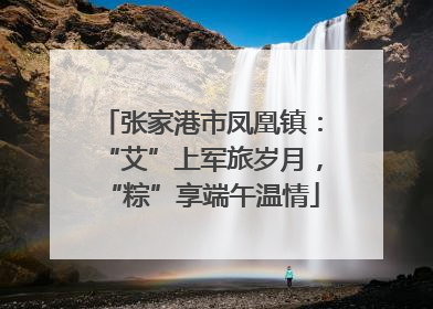 张家港市凤凰镇：“艾”上军旅岁月，“粽”享端午温情