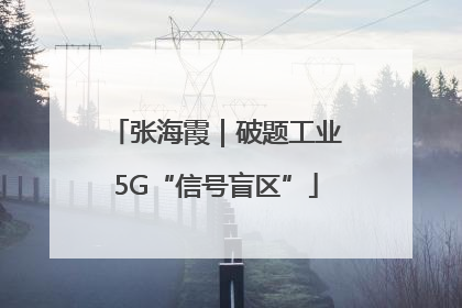 张海霞｜破题工业5G“信号盲区”