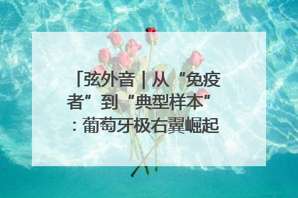 弦外音｜从“免疫者”到“典型样本”：葡萄牙极右翼崛起背后的欧洲困局