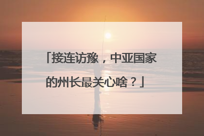 接连访豫，中亚国家的州长最关心啥？