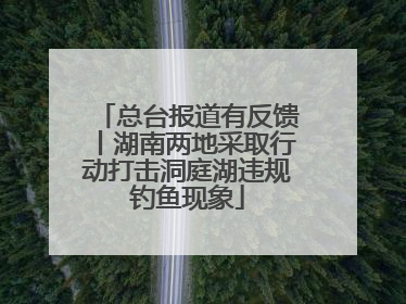 总台报道有反馈丨湖南两地采取行动打击洞庭湖违规钓鱼现象