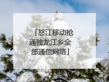 怒江移动抢通独龙江乡全部通信网络