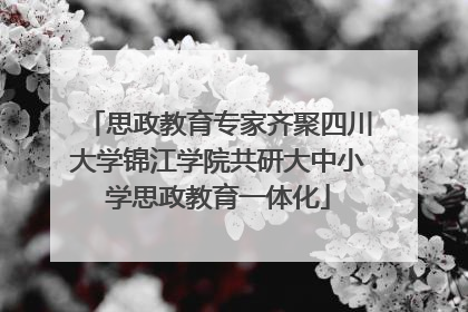 思政教育专家齐聚四川大学锦江学院共研大中小学思政教育一体化