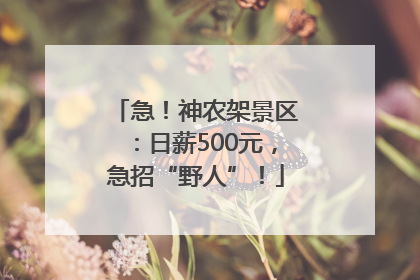 急！神农架景区：日薪500元，急招“野人”！