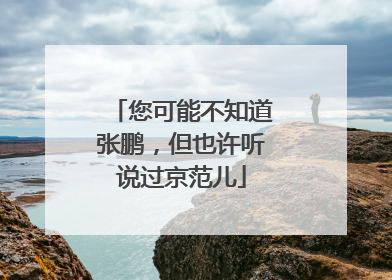 您可能不知道张鹏，但也许听说过京范儿