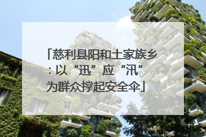 慈利县阳和土家族乡：以“迅”应“汛” 为群众撑起安全伞