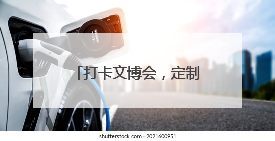 打卡文博会，定制你的专属机器人