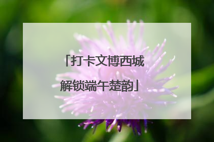 打卡文博西城 解锁端午楚韵
