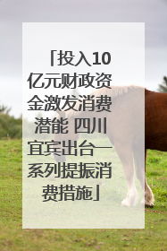 投入10亿元财政资金激发消费潜能 四川宜宾出台一系列提振消费措施