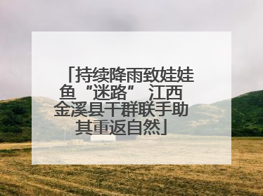 持续降雨致娃娃鱼“迷路” 江西金溪县干群联手助其重返自然
