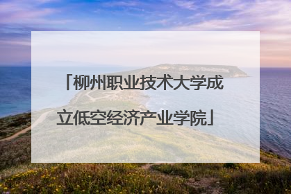 柳州职业技术大学成立低空经济产业学院