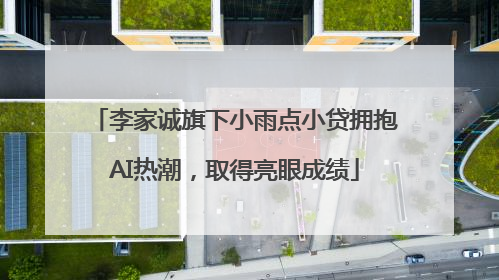 李家诚旗下小雨点小贷拥抱AI热潮，取得亮眼成绩