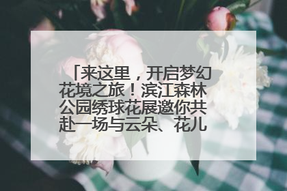 来这里，开启梦幻花境之旅！滨江森林公园绣球花展邀你共赴一场与云朵、花儿的浪漫之约