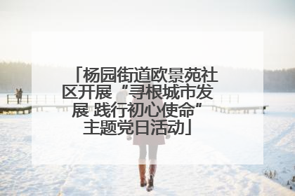 杨园街道欧景苑社区开展“寻根城市发展 践行初心使命”主题党日活动