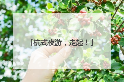 杭式夜游，走起！