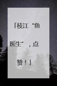 枝江“鱼医生”，点赞！