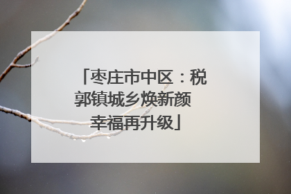 枣庄市中区：税郭镇城乡焕新颜 幸福再升级