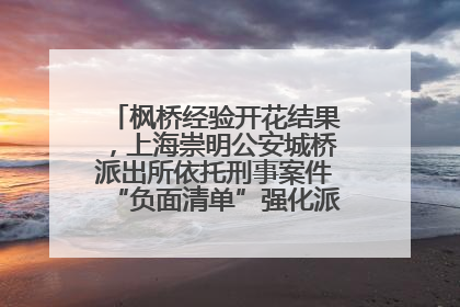 枫桥经验开花结果，上海崇明公安城桥派出所依托刑事案件“负面清单”强化派出所“主防”