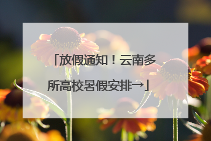 放假通知！云南多所高校暑假安排→