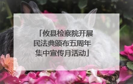 攸县检察院开展民法典颁布五周年集中宣传月活动