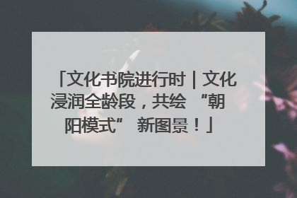 文化书院进行时｜文化浸润全龄段，共绘 “朝阳模式” 新图景！