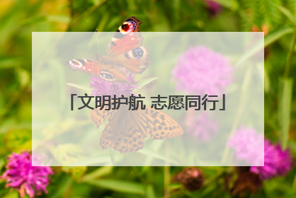 文明护航 志愿同行