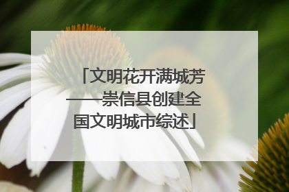 文明花开满城芳——崇信县创建全国文明城市综述