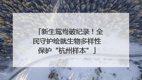新生鸳鸯破纪录！全民守护绘就生物多样性保护“杭州样本”