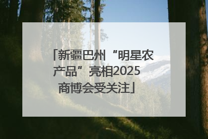新疆巴州“明星农产品”亮相2025商博会受关注