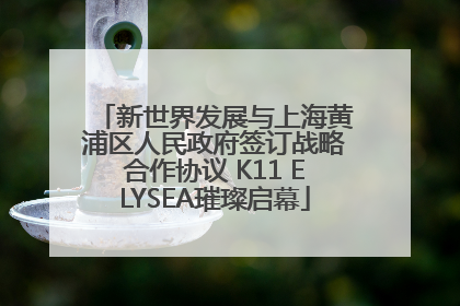 新世界发展与上海黄浦区人民政府签订战略合作协议 K11 ELYSEA璀璨启幕