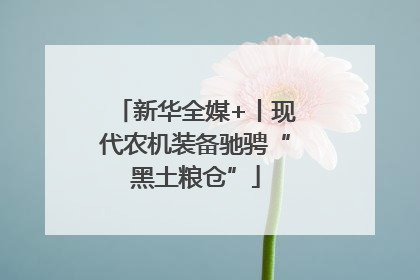 新华全媒+丨现代农机装备驰骋“黑土粮仓”