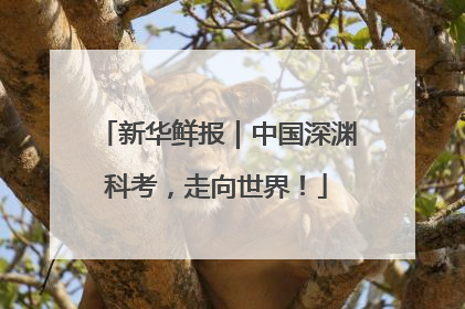 新华鲜报｜中国深渊科考，走向世界！