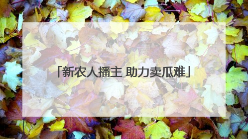 新农人播主 助力卖瓜难