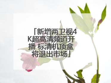 新增两卫视4K超高清频道开播 标清机顶盒将退出市场