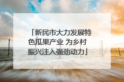 新民市大力发展特色瓜果产业 为乡村振兴注入强劲动力
