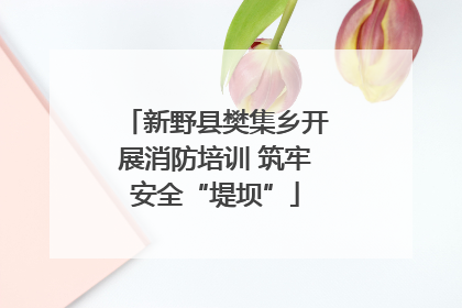 新野县樊集乡开展消防培训 筑牢安全“堤坝”
