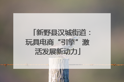 新野县汉城街道：玩具电商“引擎”激活发展新动力