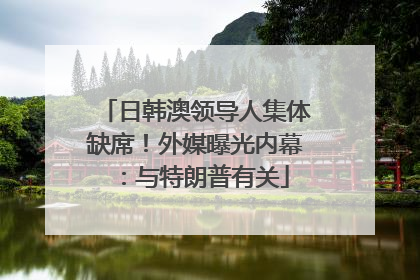 日韩澳领导人集体缺席！外媒曝光内幕：与特朗普有关