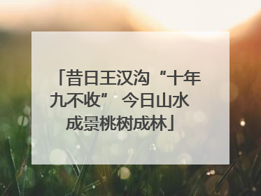 昔日王汉沟“十年九不收” 今日山水成景桃树成林