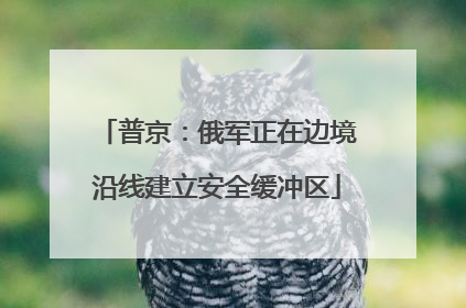 普京：俄军正在边境沿线建立安全缓冲区