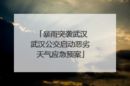 暴雨突袭武汉 武汉公交启动恶劣天气应急预案